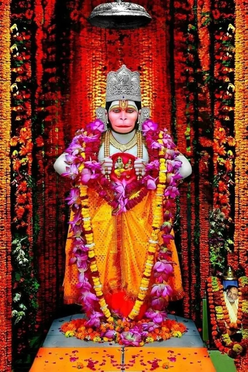 naidunia_image